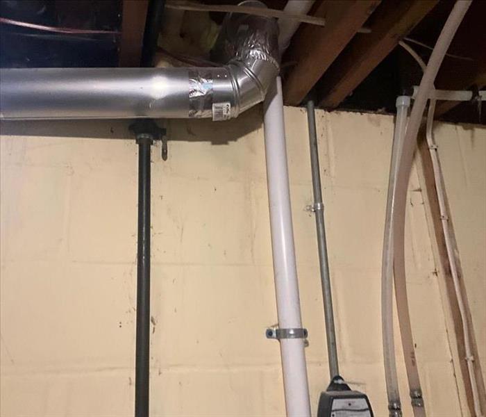 Residential Mold in Basement in Northeast Minneapolis